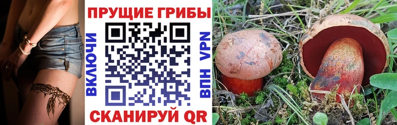 продажа наркотиков  Тайга  Псилоцибиновые грибы прущие грибы 